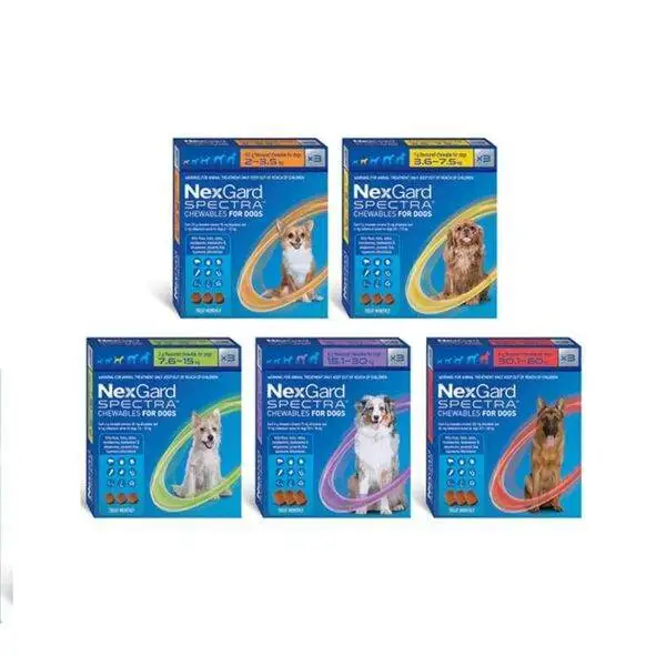 nexgard spectra hund
