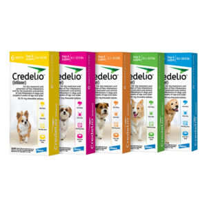 Credelio hunde