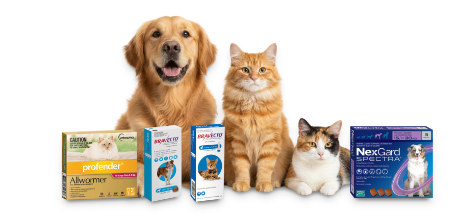 katzenundhunde pet meds banner